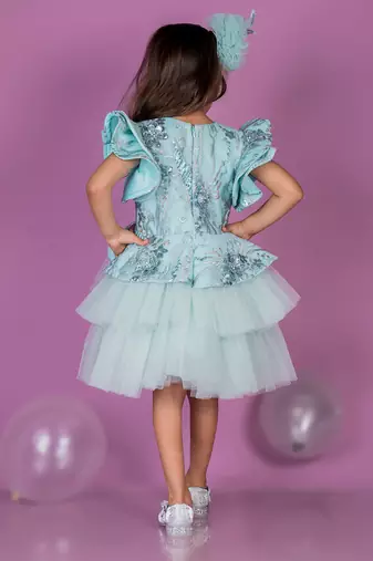 Blue embroidered net Dress