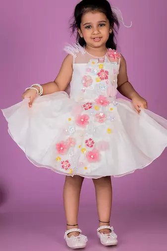 White embroidered organza Dress