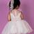 White embroidered organza Dress