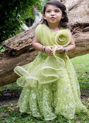 Green embroidered net lehenga 1