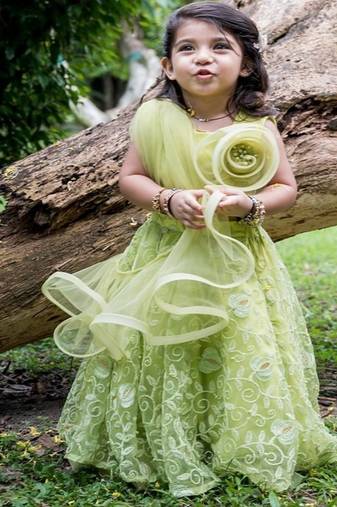 Green embroidered net lehenga
