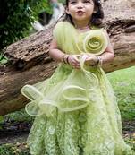 Green embroidered net lehenga