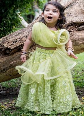 Green embroidered net lehenga 2