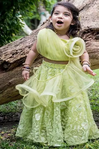 Green embroidered net lehenga
