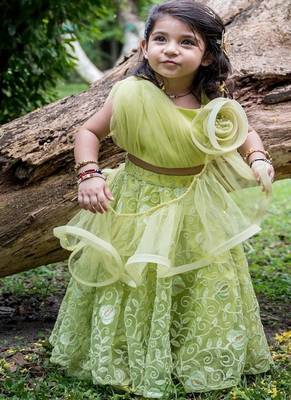 Green embroidered net lehenga 3