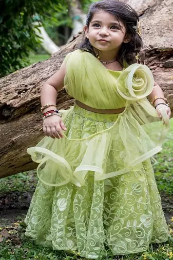 Green embroidered net lehenga