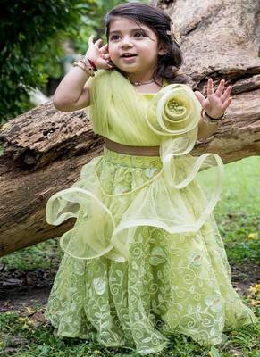 Green embroidered net lehenga 5