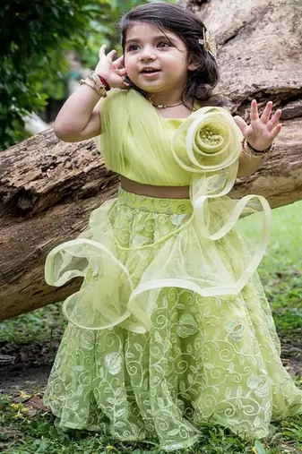 Green embroidered net lehenga
