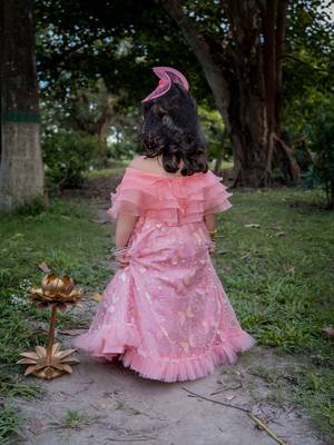 Pink embroidered net lehenga 2