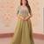 Olive radiance fendy silk embroidered gown