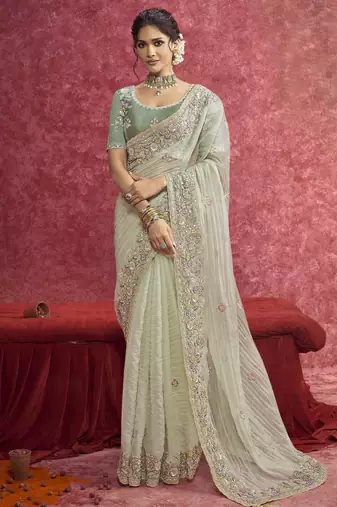 Light-green sequin embroidery saree     refreshing & unique