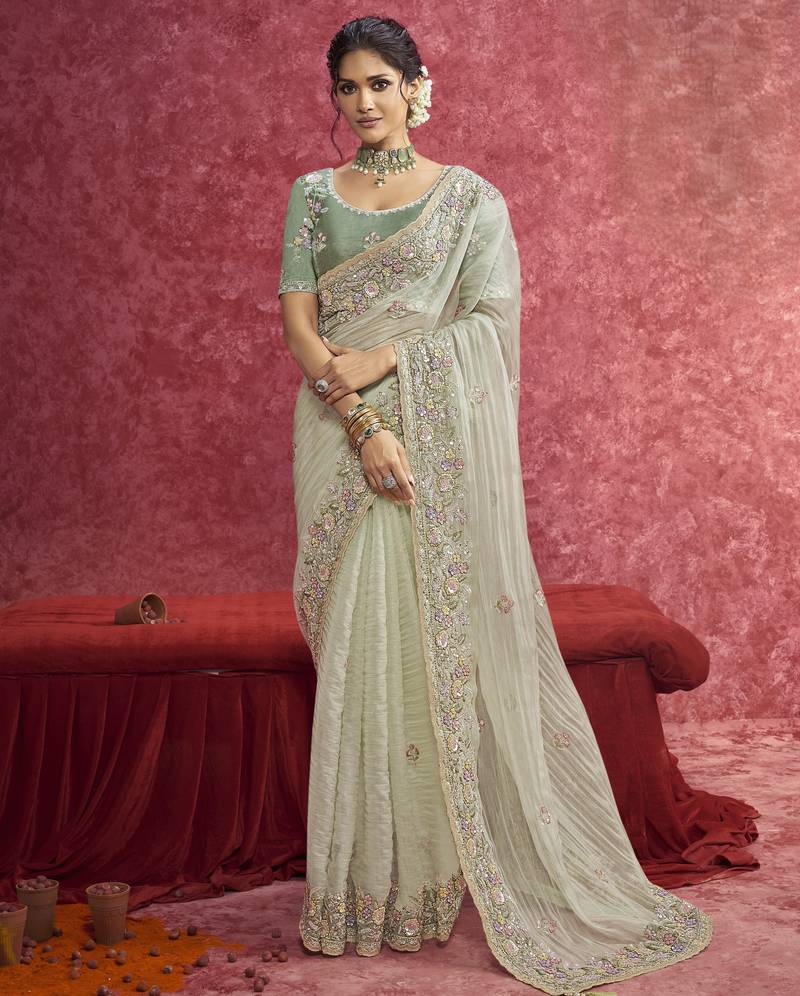 Light-green sequin embroidery saree     refreshing & unique
