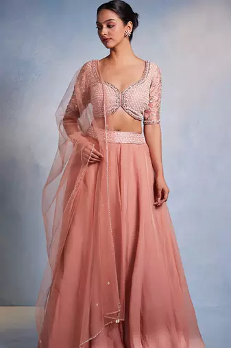 rose embroidered Organza Lehenga