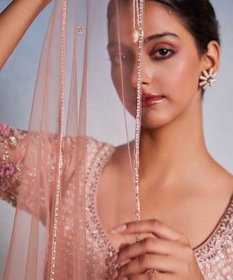 rose embroidered Organza Lehenga 2