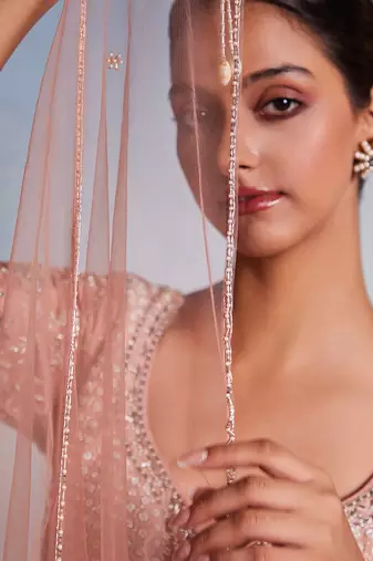 rose embroidered Organza Lehenga