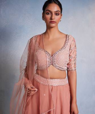 rose embroidered Organza Lehenga 3