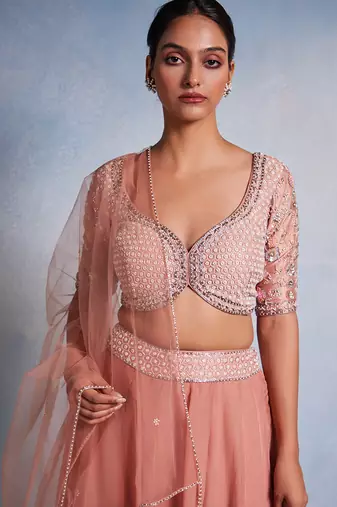 rose embroidered Organza Lehenga
