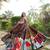 Digital Print Muslin Cotton with Mirror Work Lehenga Choli