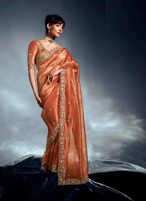 Rust tissue heavy sequince & khatli work cut dana border with heavy designer blouse party wear saree 1