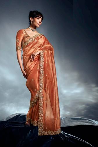 Rust tissue heavy sequince & khatli work cut dana border with heavy designer blouse party wear saree