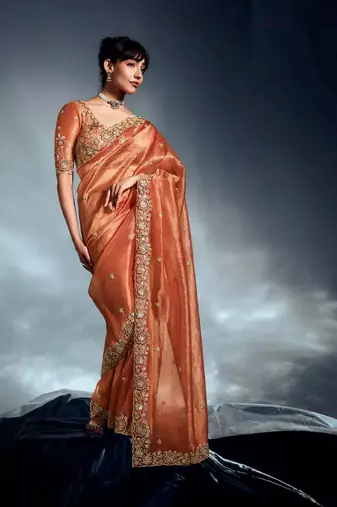 Rust tissue heavy sequince & khatli work cut dana border with heavy designer blouse party wear saree
