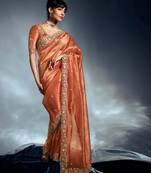 Rust tissue heavy sequince & khatli work cut dana border with heavy designer blouse party wear saree