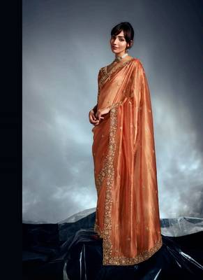 Rust tissue heavy sequince & khatli work cut dana border with heavy designer blouse party wear saree 2