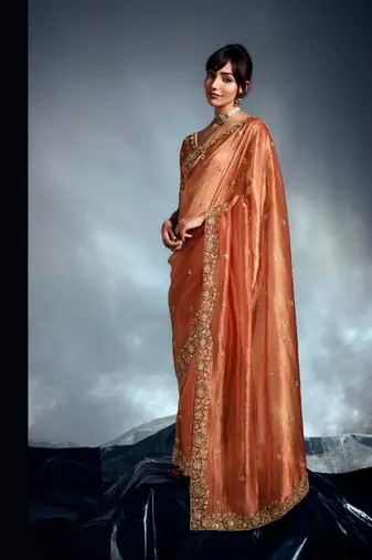 Rust tissue heavy sequince & khatli work cut dana border with heavy designer blouse party wear saree