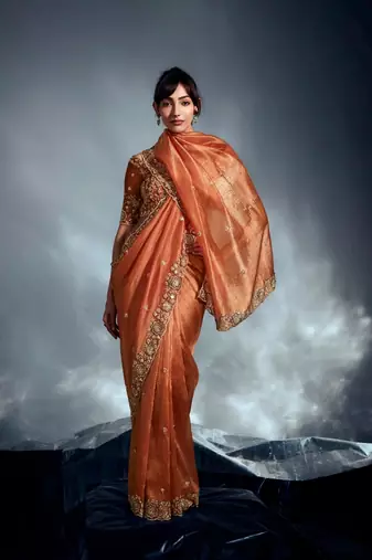 Rust tissue heavy sequince & khatli work cut dana border with heavy designer blouse party wear saree