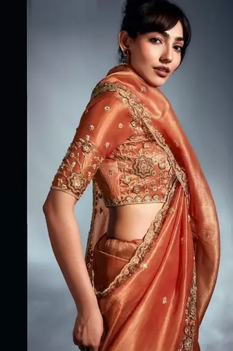 Rust tissue heavy sequince & khatli work cut dana border with heavy designer blouse party wear saree