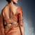 Rust tissue heavy sequince & khatli work cut dana border with heavy designer blouse party wear saree