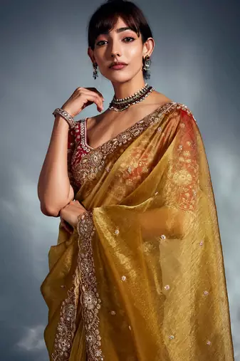 Mustard tissue heavy sequince & khatli work cut dana border with heavy designer blouse party wear saree