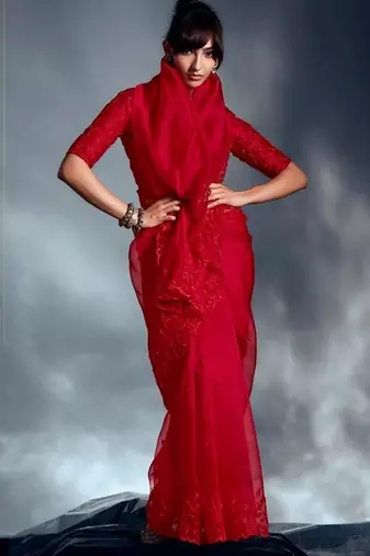 Red tissue heavy moti & khatli work cut dana border with heavy designer blouse party wear saree