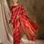 Stunning red banarasi silk saree with weaving work