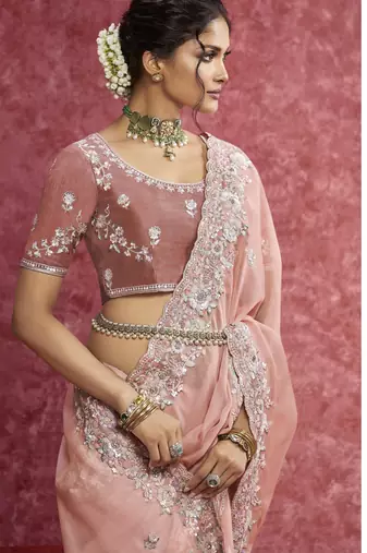 Peach sequin embroidery saree soft feminine elegance