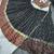 Black Color Sequins With Digital Print And Real Mirror Work Georgette Lehenga Choli