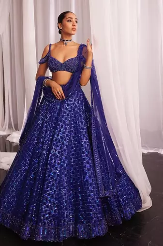 Navy Blue Color Jari Work And Rainbow Dual Sequins Work Butterfly Net Lehenga Choli