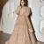 Beige Color Sequence,Embroidery And Zari Work Butterfly Net  Lehenga Choli