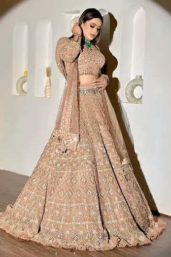 Beige Color Sequence,Embroidery And Zari Work Butterfly Net  Lehenga Choli
