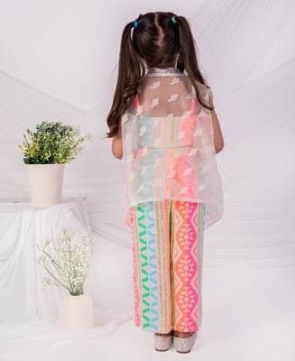 Multicolor printed organza  three piece co ord set 3