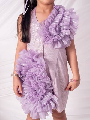 Purple embroidered organza dress 2