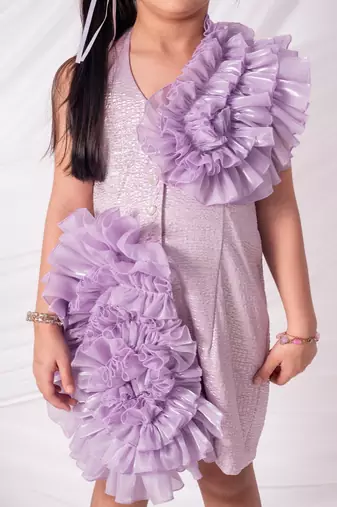 Purple embroidered organza dress