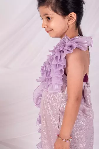 Purple embroidered organza dress