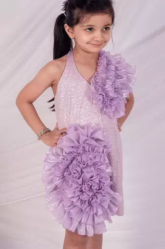 Purple embroidered organza dress