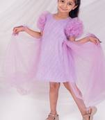 Purple plain net dress