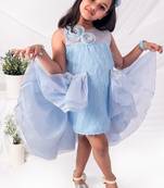 Blue embroidered organza dress