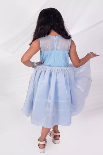 Blue embroidered organza dress