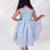 Blue embroidered organza dress