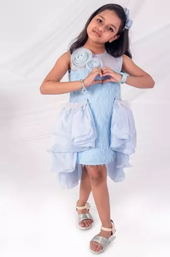 Blue embroidered organza dress