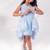 Blue embroidered organza dress